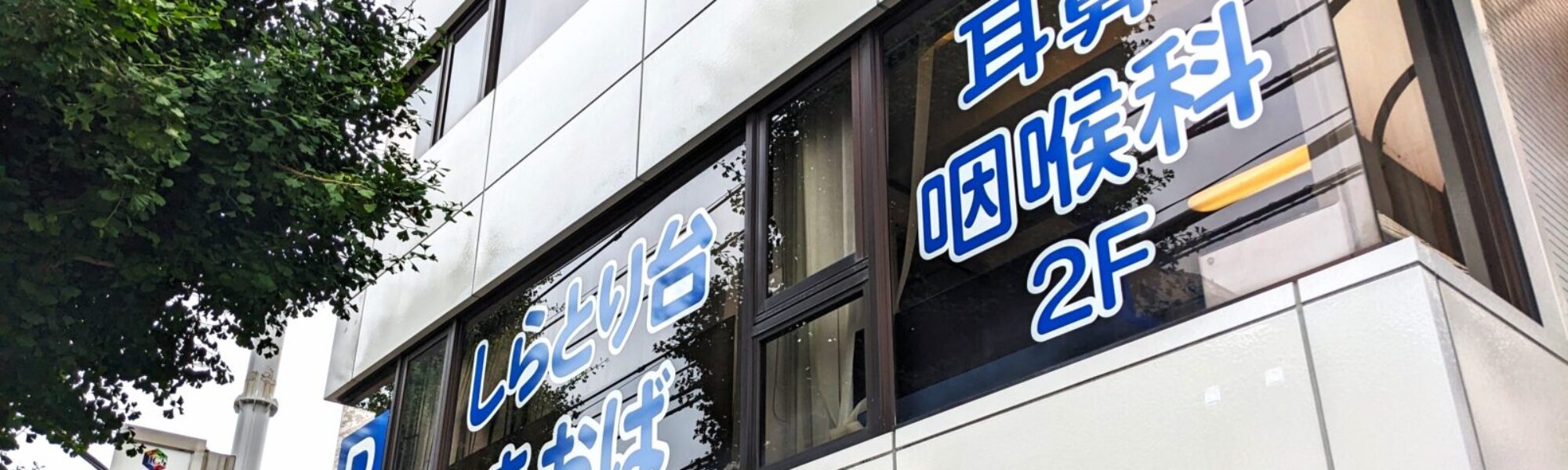 PXL_20240620_043322999