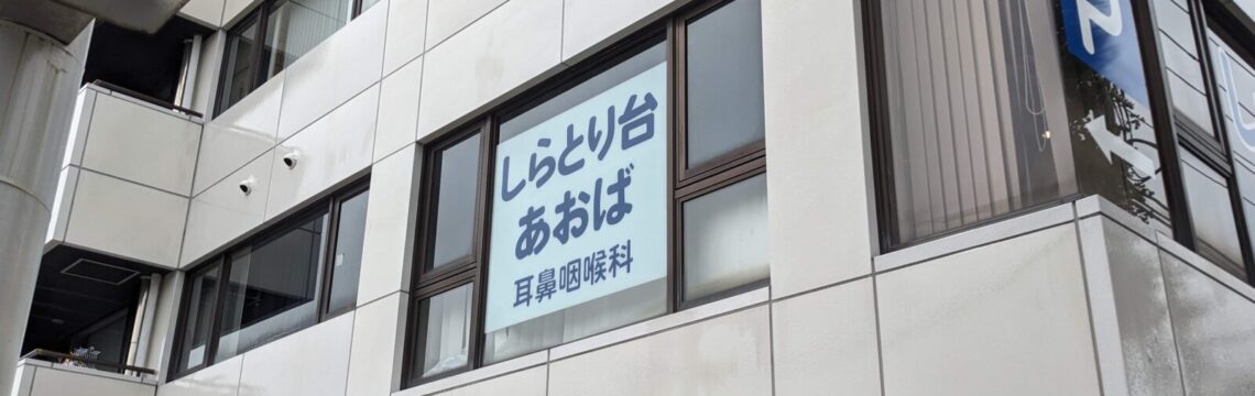 PXL_20240620_043753880